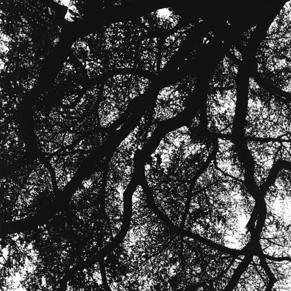 the roof is leaking // 12,7 x 17,8 cm