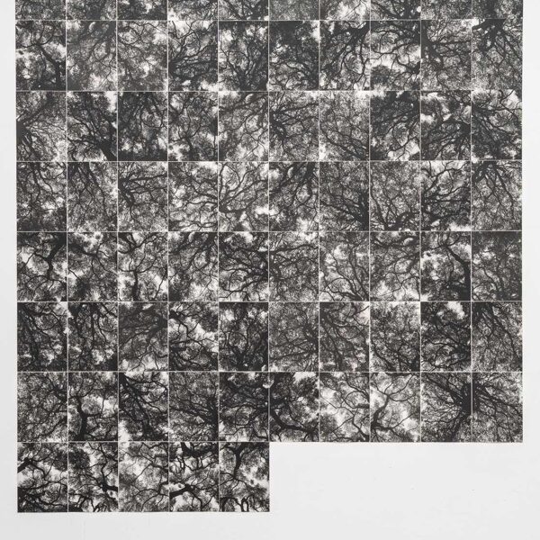 the roof is leaking // 75 prints (12,7 x 17,8 cm)