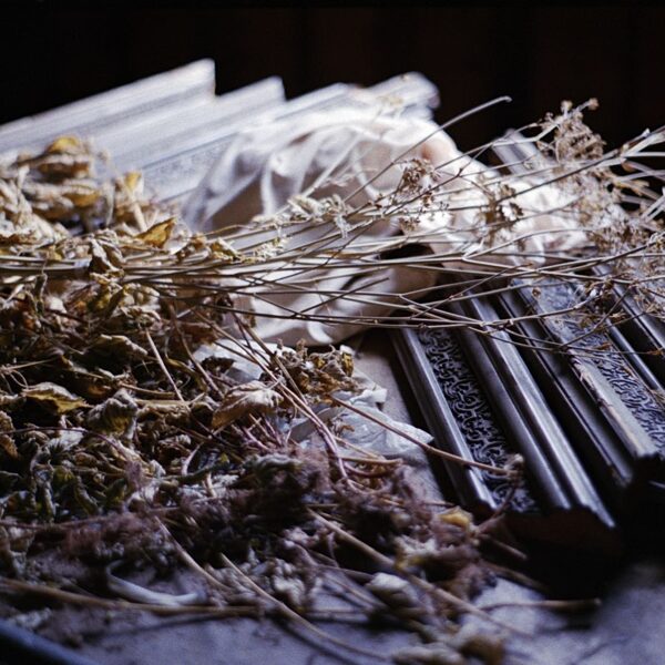 in my grandparents' attic // 2026