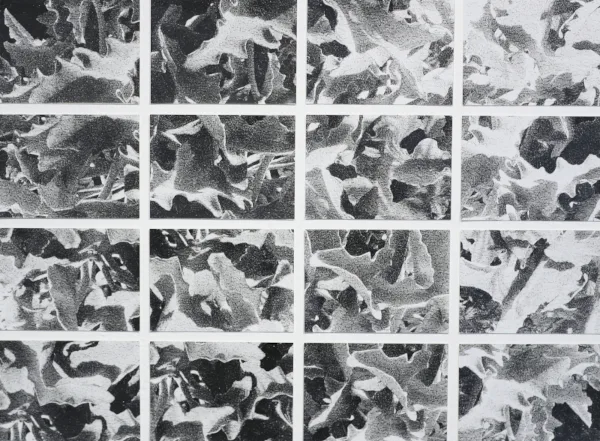 relief (16 prints)