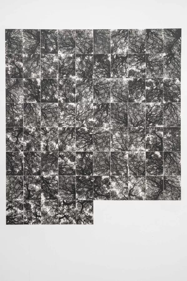 the roof is leaking // 75 prints (12,7 x 17,8 cm)