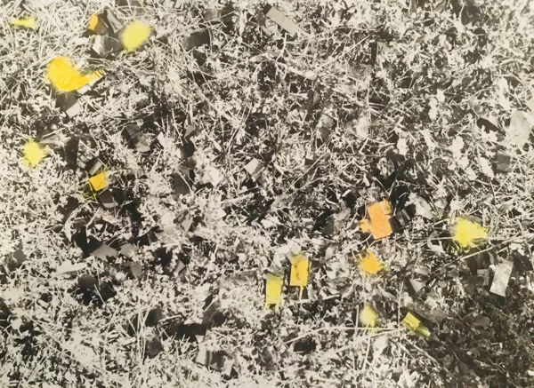 glitter /// coloured print (12x8,5 cm)