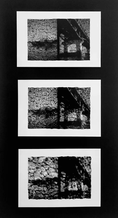 Burmese Days /// 3 prints on cardboard (16,5x30 cm)