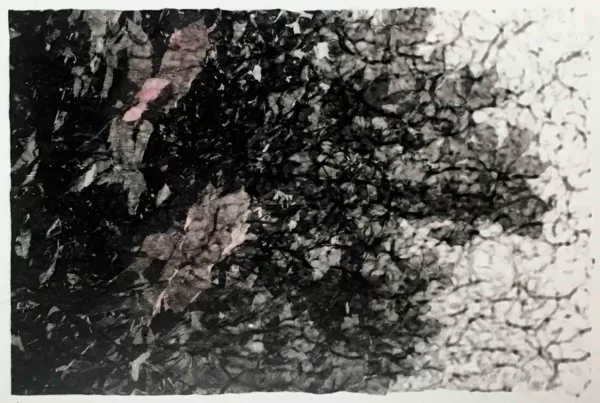 searching /// coloured print (14x11,5 cm)