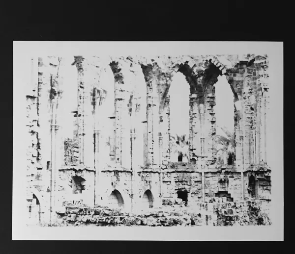skeleton /// print on cardboard (17x14,5 cm) 