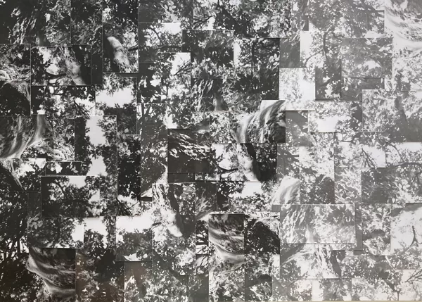 untitled /// photomontage on cardboard (29,5x20,5 cm)